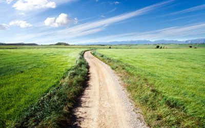 Chemins et sentiers : droits et obligations